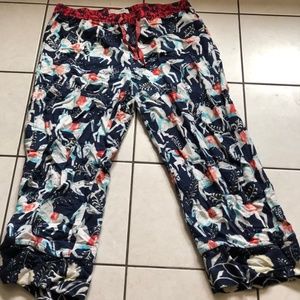 Anthropologie Sweet Dreams Flannel PJ pants – Sz Large